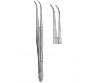 Dental Tweezers